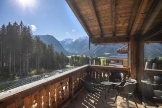 Nationalpark Chalet Säulspitze - Neukirchen am Grossvenediger - 7