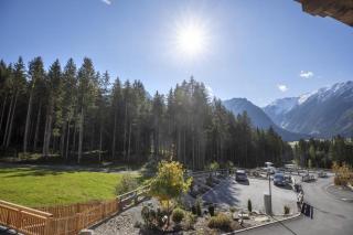 Nationalpark Chalet Säulspitze - Neukirchen am Grossvenediger - 6