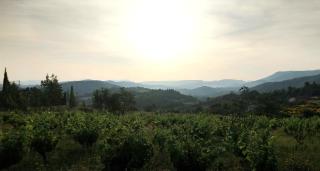 La Caravane d'Alon - 6