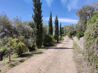 Villa des Oliviers - Sanary-sur-Mer - 6