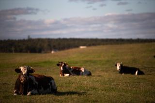 El Secreto en las Sierras - 2