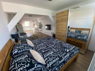 Černý Tulipán - apartmán 6 - Plzeň - 0