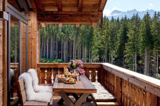 Nationalpark Chalet Gamsspitze - Neukirchen am Grossvenediger - 3