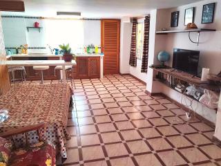 Apartamento con jacuzzi y jardín - Cájar - 2