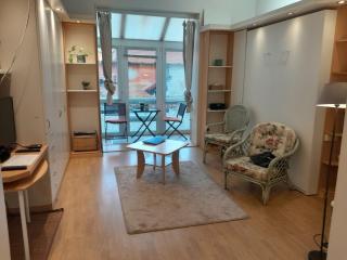 Studio spacieux 50 m2 pour 2+2 tout confort - 9