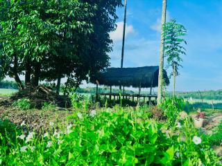 Nanmane - Chekadi - 7