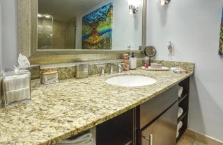 GalleryOne Doubletree Hilton GC Turtle Cove - Fort Lauderdale - 2