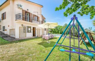 Olivi - Catino - 2