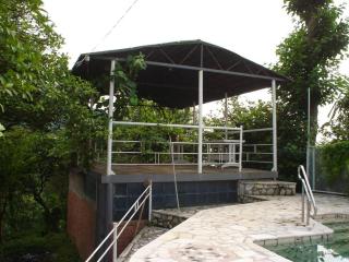 Sarpi - 2