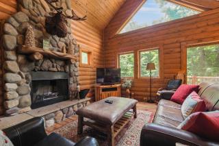 830 Mountain Cabin - Boyne Falls - 3