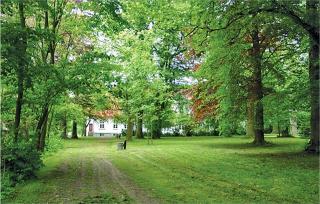 Cozy Home In Gross Markow With Sauna - Groß Markow - 6