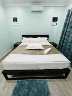 The wish executive lodge - Kafue - 3