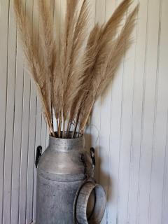 Alquiler de casa temporario en Suipacha "Lo de Juancho" - Suipacha - 4
