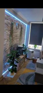 flat one bed Room - Londra - 8