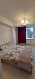 Testemitianu Apartment - Chişinău - 9
