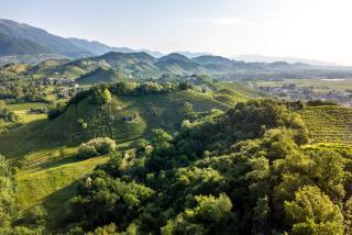 Al Capitello - Vidor - 3