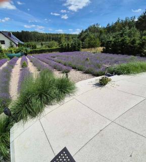 Stodoła lawendowe wzgórze na Pałukach polożona w malowniczej okolicy Oćwieka z zewnętrznym jacuzzi - 7