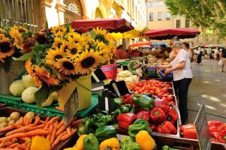 Retraite provençale, charmant studio en cœur de ville - Aix-en-Provence - 9