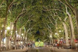 Retraite provençale, charmant studio en cœur de ville - 7