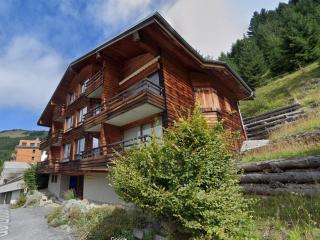 Charmant 2 pièces avec balcon et parking, proche centre et remontées mécaniques ! - FR-1-693-65 - Châtel - 9