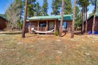 16 Mi to Sitgreaves Overgaard Cabin with Porch - Overgaard - 8