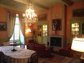 Chateau De La Chassaigne - Thiers - 4