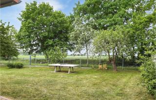Cozy Home In Behrenhoff-Neu Dargel, - Dargelin - 9