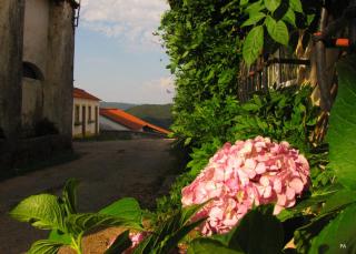 Quinta do Cerquito - Ferreira do Zêzere - 6