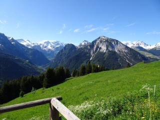 Chalet Alpage près des Cimes, 8 pers, Terrasse, Animaux admis - FR-1-464-148 - Champagny-en-Vanoise - 8