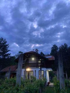 Vila Borjak - - 0