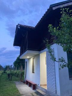 Vila Borjak - - 9