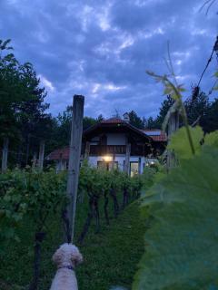Vila Borjak - - 5
