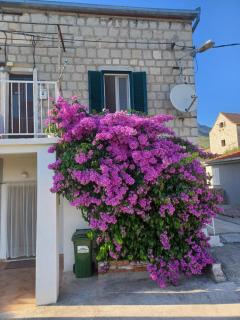 Stone Guest House - Split - 8