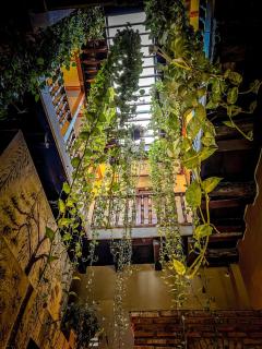 Scalea Di Mare Hotel - 6