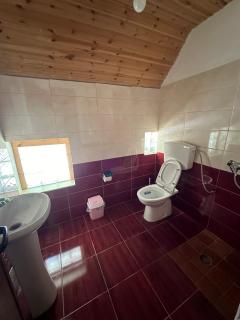 Guesthouse prek bjeshka - Ndërlysaj - 2