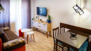 Apartments Velickovic - Soko Banja - 7