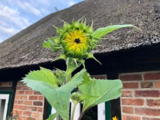 Haus an Fluss und See - 3