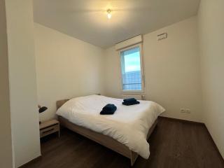 Grand T3 spacieux - Annemasse - 5