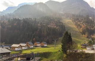 Charmantes Großes Ferienhaus - Altaussee - 1