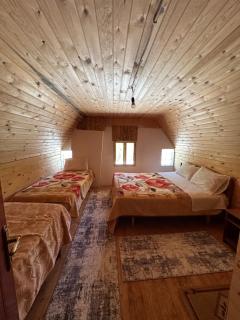 Guesthouse prek bjeshka - Theth - 1
