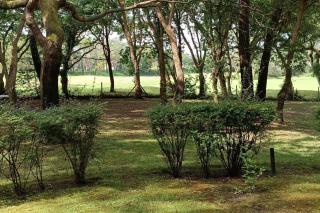 Quiet renovated nest with a nice view of the golf - Moliets-et-Maa - 2