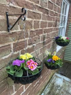 Carefree Cottage - Marstow - 5