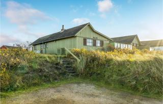 Kivi - Fanø - 0