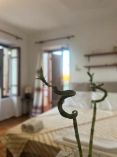 Village House - Petaloú - 0