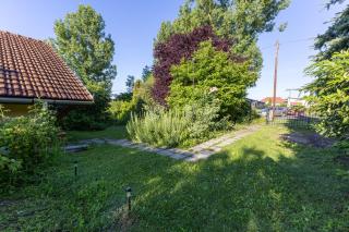 Kismókus Apartman - 5