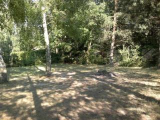 Ferienhaus in Gmina Piotrkw Kujawski mit Garten - Orle - 5