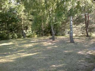 Ferienhaus in Gmina Piotrkw Kujawski mit Garten - Orle - 4