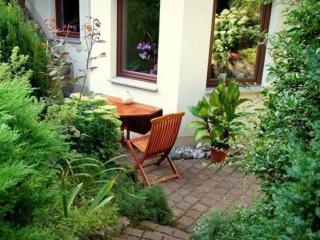 Ferienwohnung "Ginkgo" in Dresden - Dresden - 1
