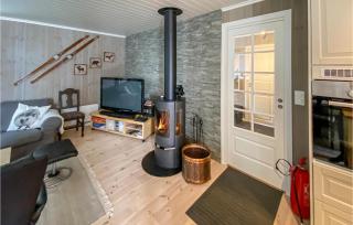 Amazing Home In Rauland With Wifi - Rauland - 8