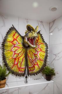 Jurassique Appart - 4